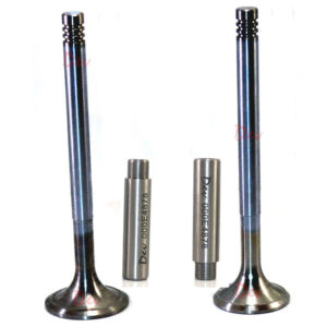 Bukh DV24 DV36 DV48 Valves & Guides