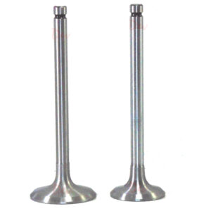 Lister HR HRW HL Inlet Exhaust Valve