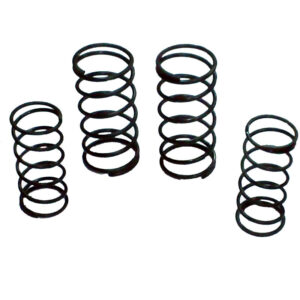 Lister CS JP Valve Spring Set