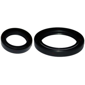 Bukh DV20 DV10 Oil Seal Set