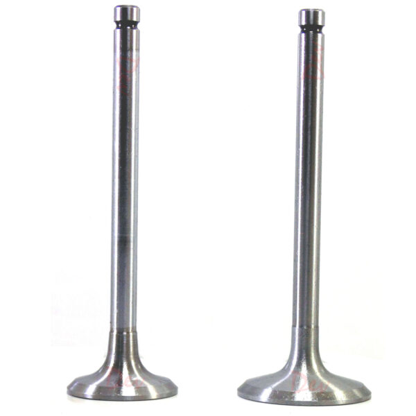 Lister HR HRW Inlet Exhaust Valve & Guide Set