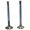 Bukh DV24 DV36 DV48 Valves