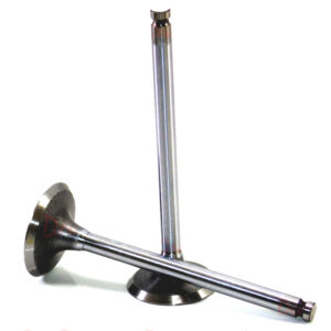 Lister LPW Inlet Exhaust Valve