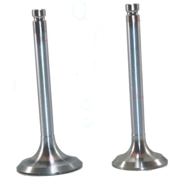 Lister STW Inlet Exhaust Valve Guide Set