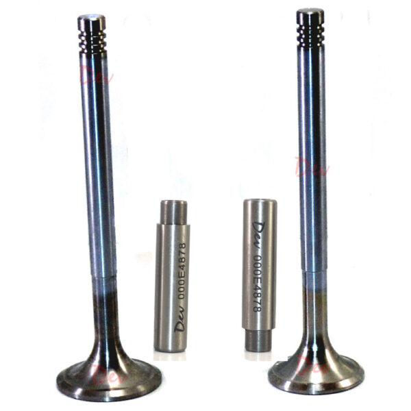 Bukh DV24 DV36 DV48 Valves & Guides