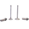 Lister HR HRW Inlet Exhaust Valve & Guide Set