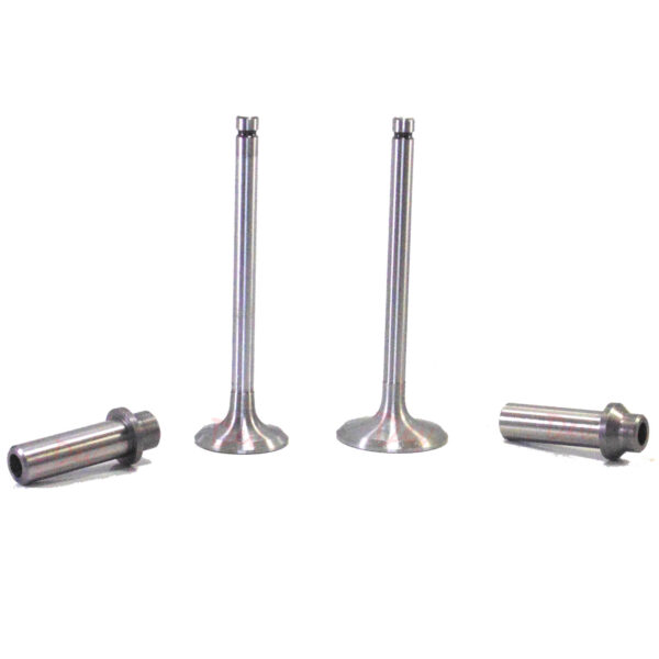 Lister HR HRW Inlet Exhaust Valve & Guide Set