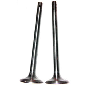 Lister J Inlet Exhaust Valve Pair