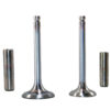 Lister STW Inlet Exhaust Valve Guide Set