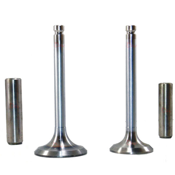 Lister STW Inlet Exhaust Valve Guide Set