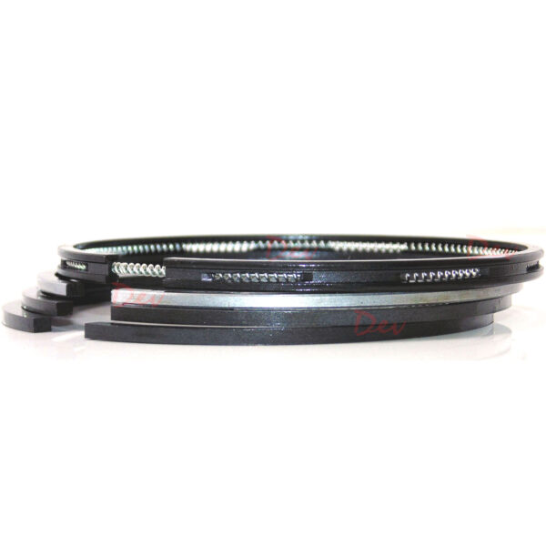 Bukh DV20 DV10 Piston Ring Set 030D0301