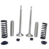 SABB 2J Valve Guide Cup Collar Spring Set